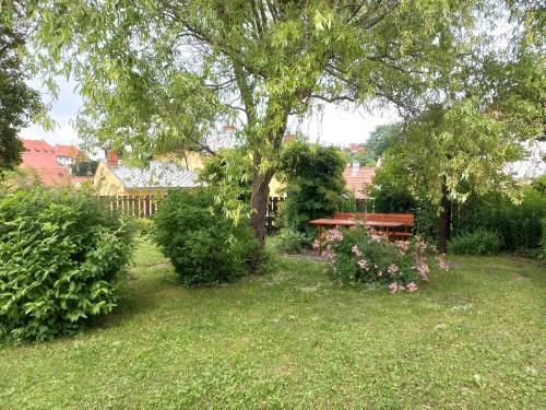 Outdoor Pictures 7