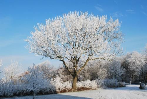 Outdoor Pictures 7