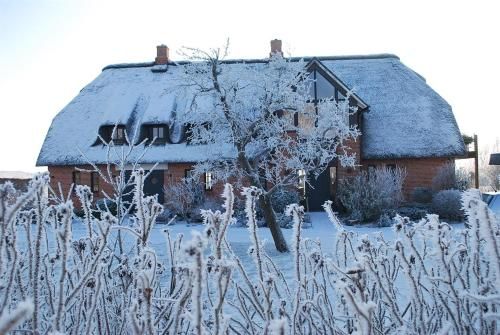 Outdoor Pictures 9