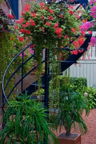 Outdoor Pictures 22