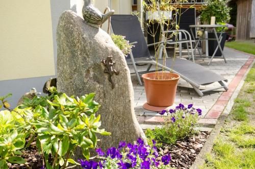 Outdoor Pictures 23