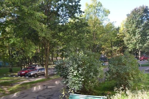 Outdoor Pictures 21