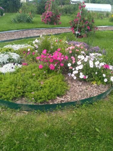 Outdoor Pictures 15
