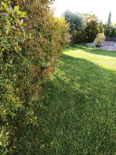 Outdoor Pictures 22