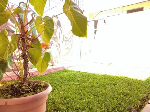Outdoor Pictures 7