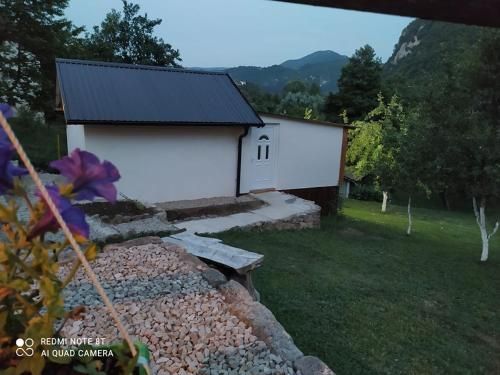 Outdoor Pictures 15