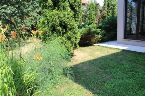 Outdoor Pictures 22