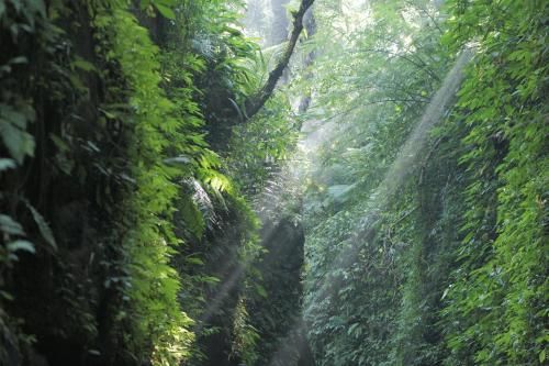 Pramana Giri Kusuma