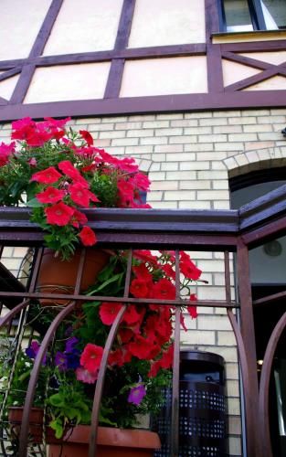 Outdoor Pictures 22