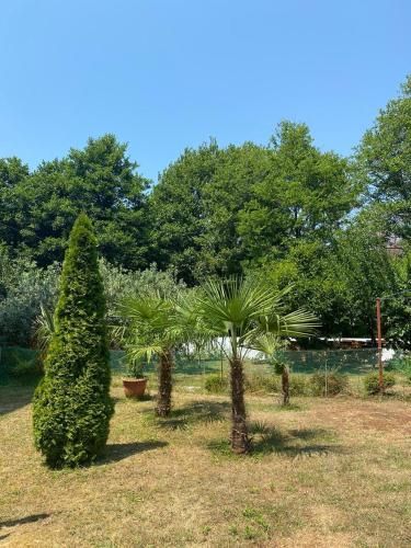 Outdoor Pictures 22