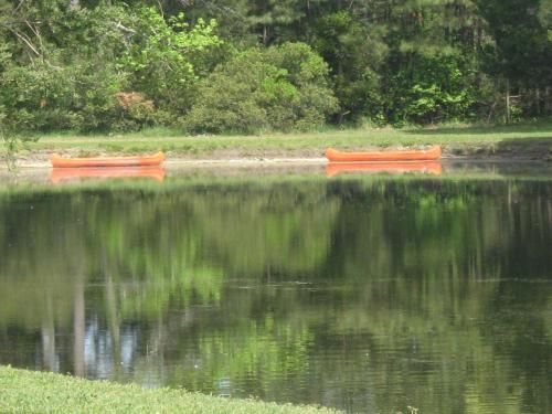 Outdoor Pictures 5
