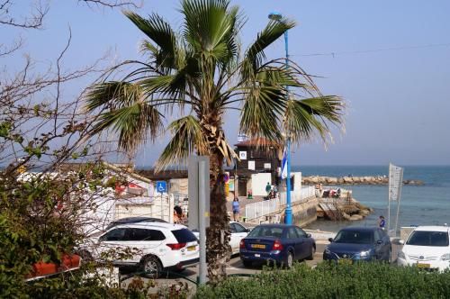Outdoor Pictures 1