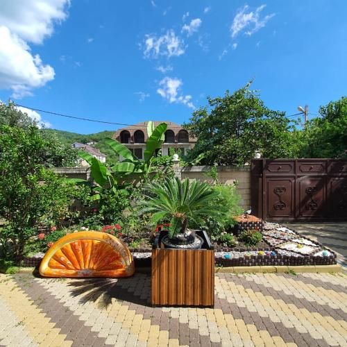 Outdoor Pictures 5