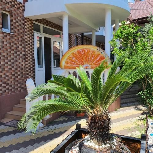Outdoor Pictures 7
