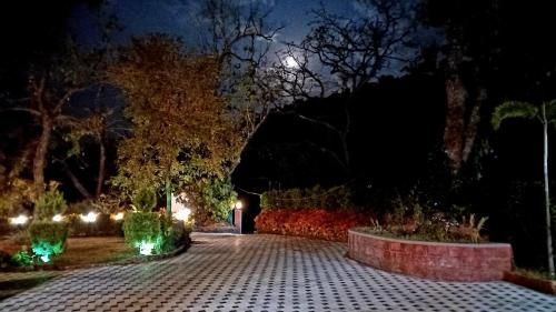 Outdoor Pictures 9