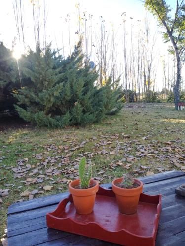 Outdoor Pictures 11
