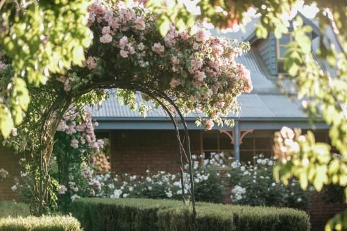 Outdoor Pictures 24