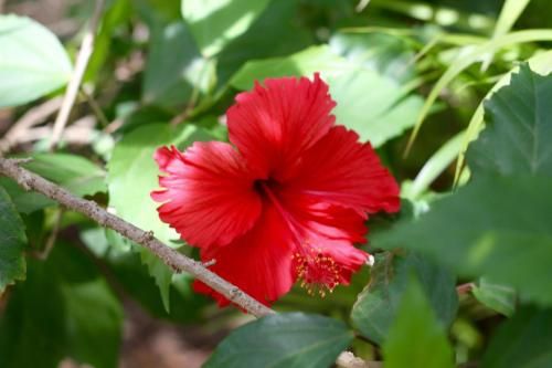 Outdoor Pictures 24