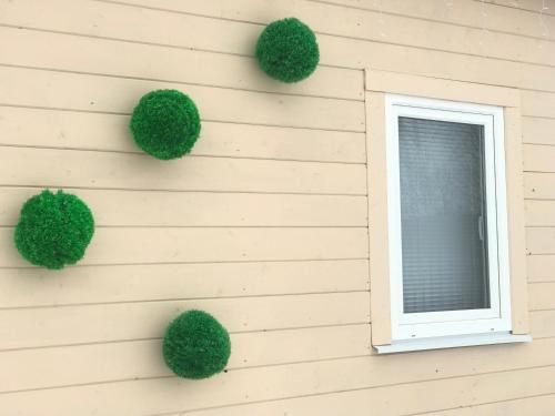 Outdoor Pictures 1
