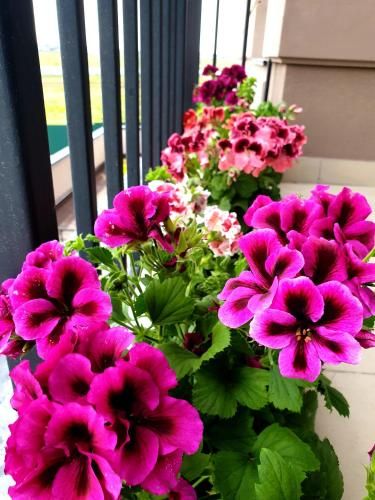 Outdoor Pictures 22