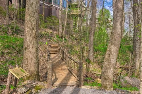 Outdoor Pictures 22