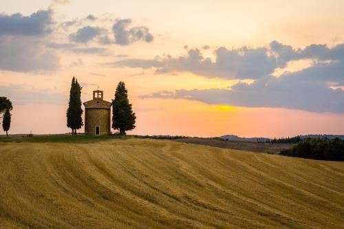 Outdoor Pictures 7