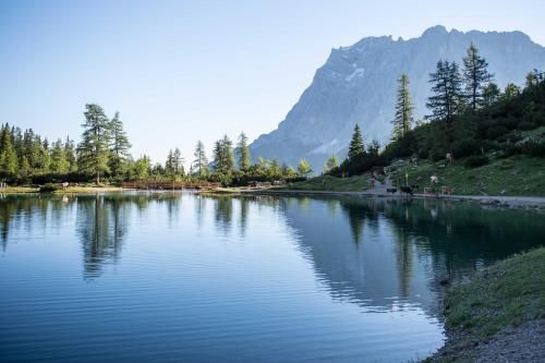 Outdoor Pictures 20