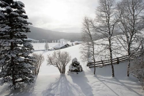 Outdoor Pictures 21
