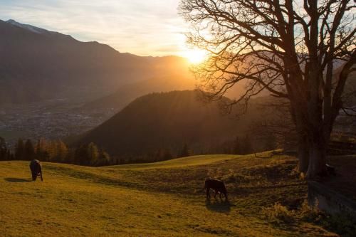 Outdoor Pictures 22
