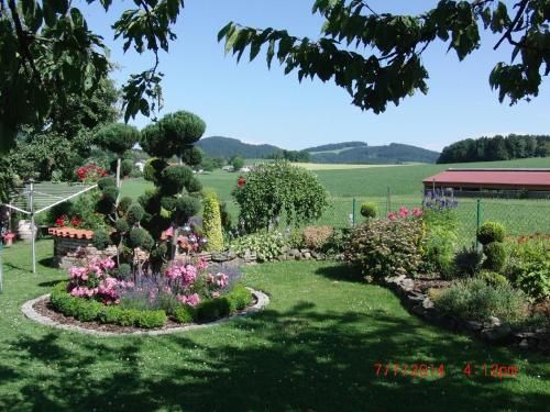 Outdoor Pictures 6