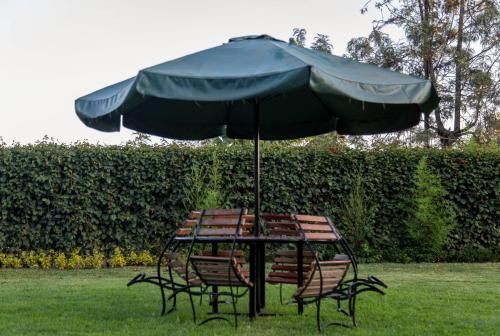 Outdoor Pictures 22
