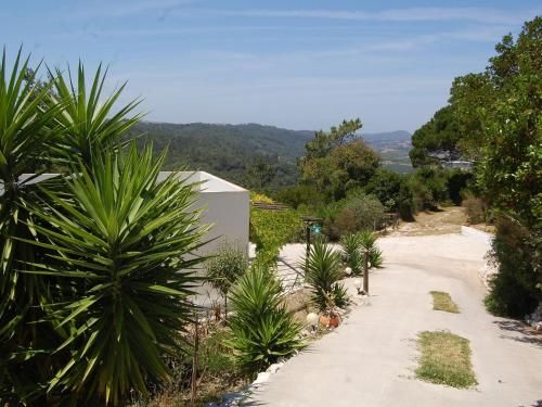 Outdoor Pictures 4