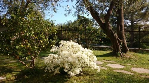 Outdoor Pictures 24