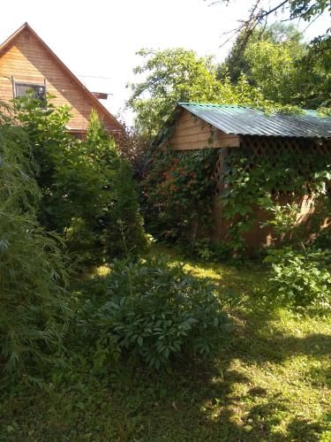 Outdoor Pictures 5