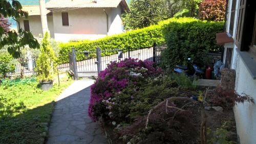 Outdoor Pictures 3