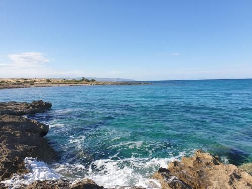 B&B L'Uliveto