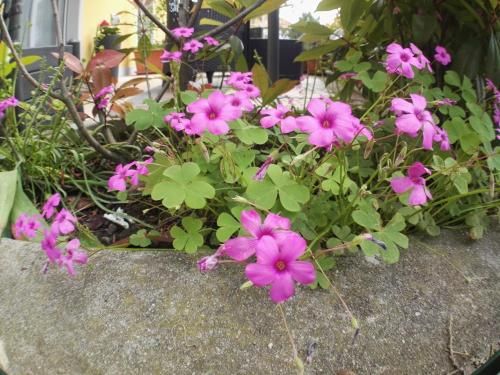 Outdoor Pictures 9