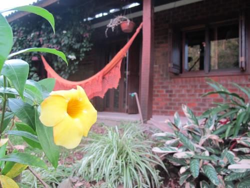 Outdoor Pictures 1