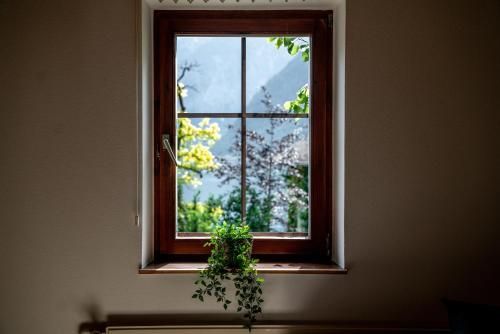 Outdoor Pictures 21