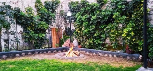 Outdoor Pictures 14