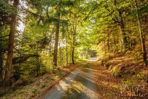 Outdoor Pictures 21