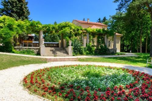 Outdoor Pictures 20