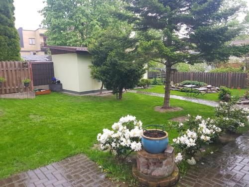 Outdoor Pictures 5