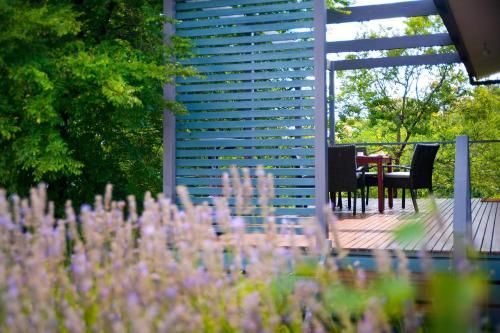 Outdoor Pictures 5