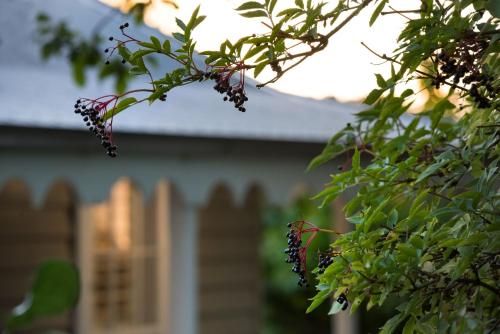 Outdoor Pictures 7