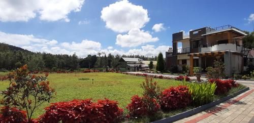 Outdoor Pictures 1