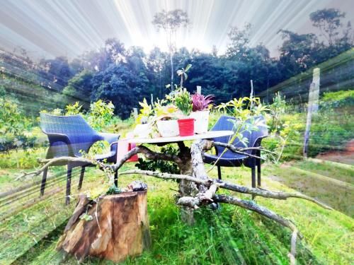 Outdoor Pictures 4