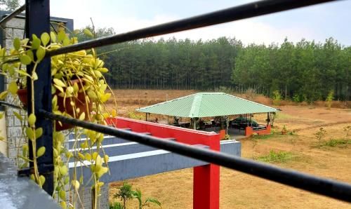 Outdoor Pictures 12