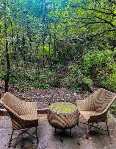 Outdoor Pictures 9