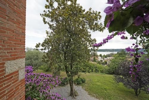 Outdoor Pictures 11